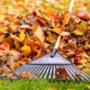 2022 10 meeting fall chores