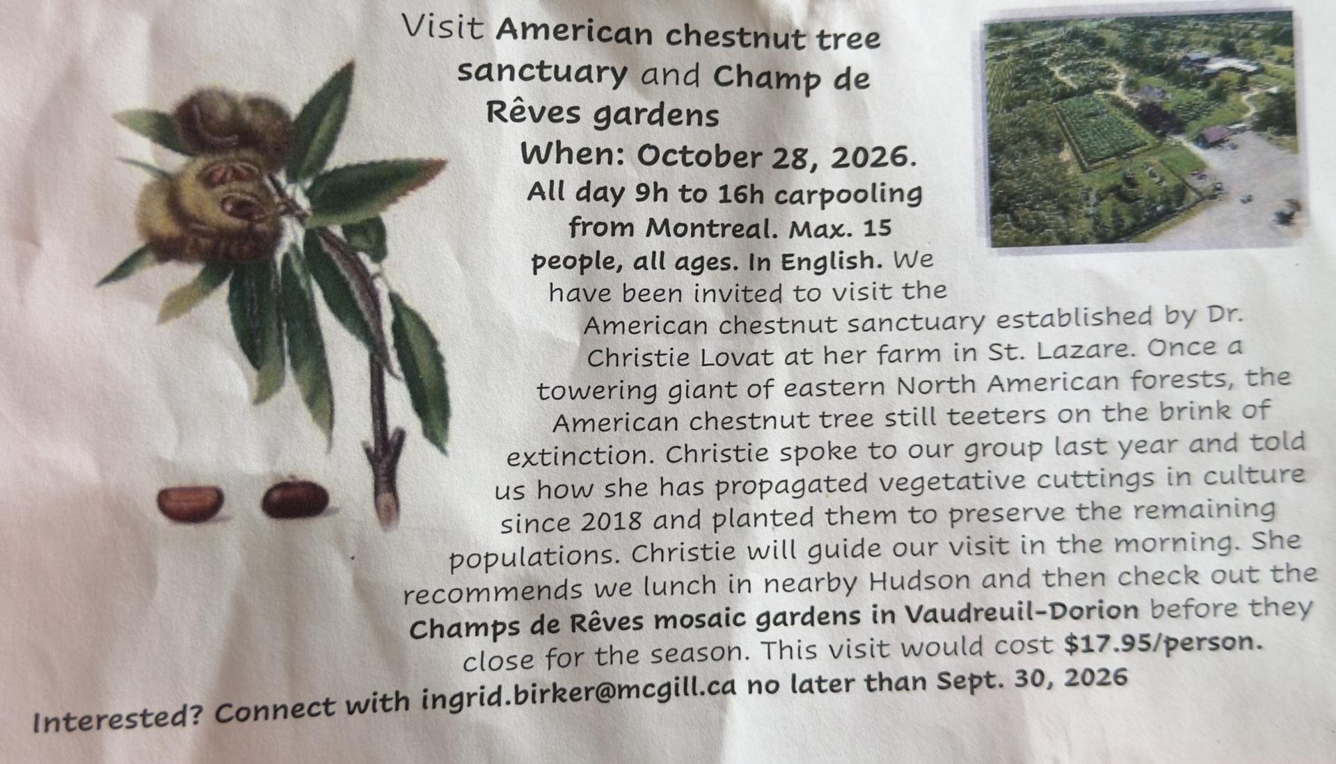 Chestnut tree visit