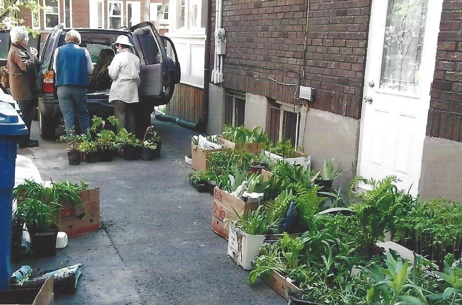 Plant sale 1